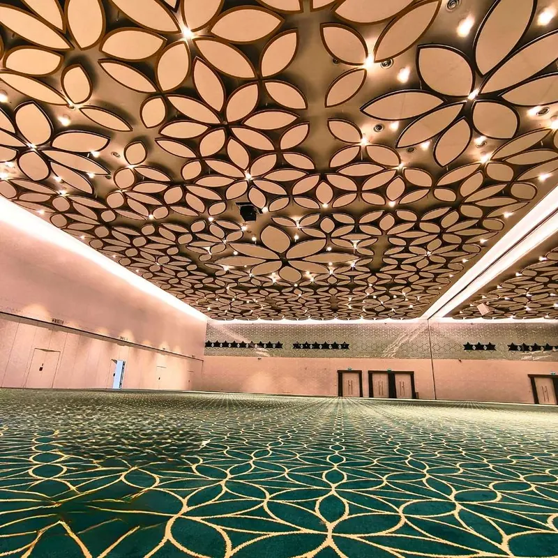 Acoustic Ceiling Clouds — view 2